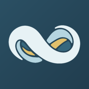 it recruitment services Netsuite